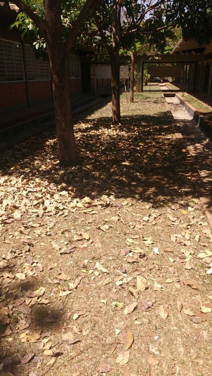 WhatsApp Image 2017-09-15 at 09.16.38 (1).jpeg WhatsApp Image 2017-09-15 at 09.16.38 (1).jpeg
