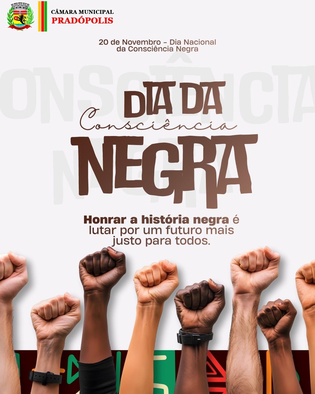 20 de Novembro - Dia da Consciência Negra.